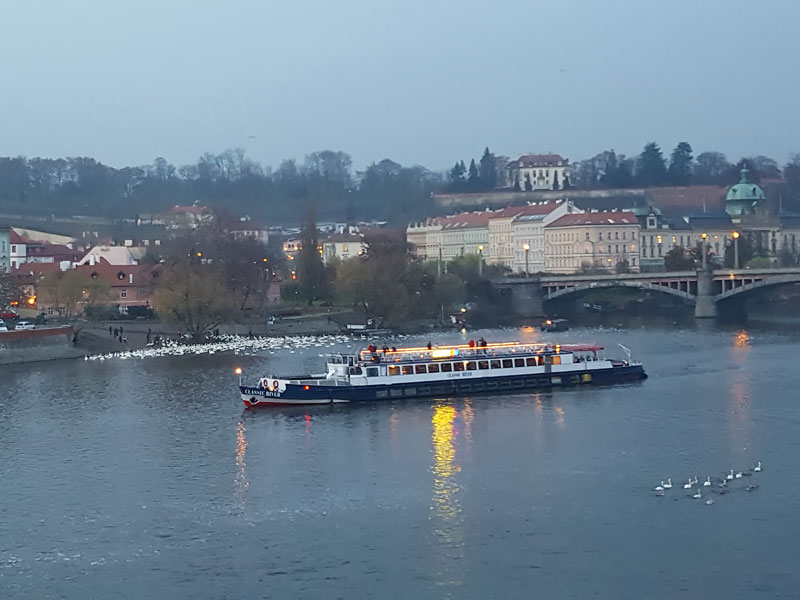 ������� ���������: ��������� ����. ������