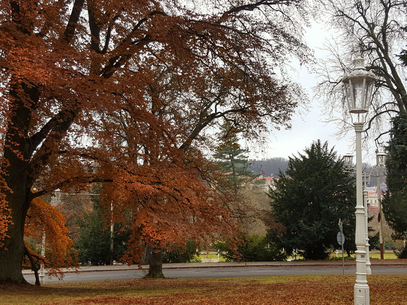 ������� ���������: ���� � ������ ������. ��� ����