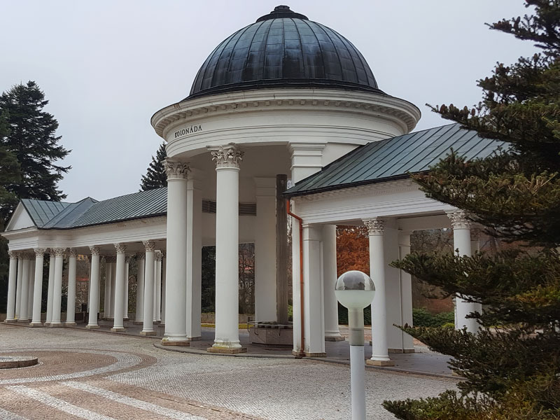 ������� ���������: ���������. �������� ��������