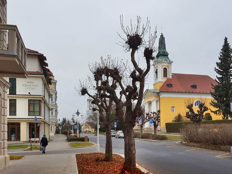 ������� ���������: ������ �����������. ����������� �����