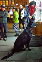 ������� � ���������