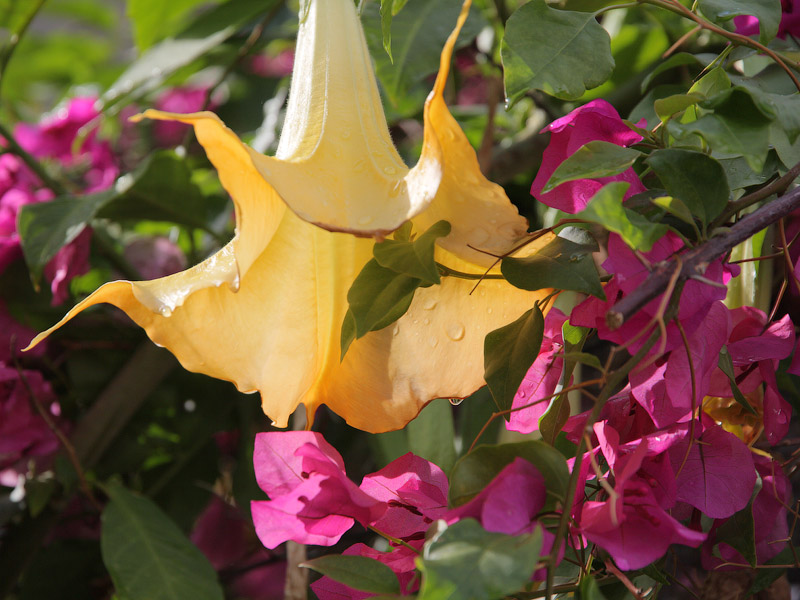 ������� ���������: ����� � ������. �������� ������ ������ ���� �������