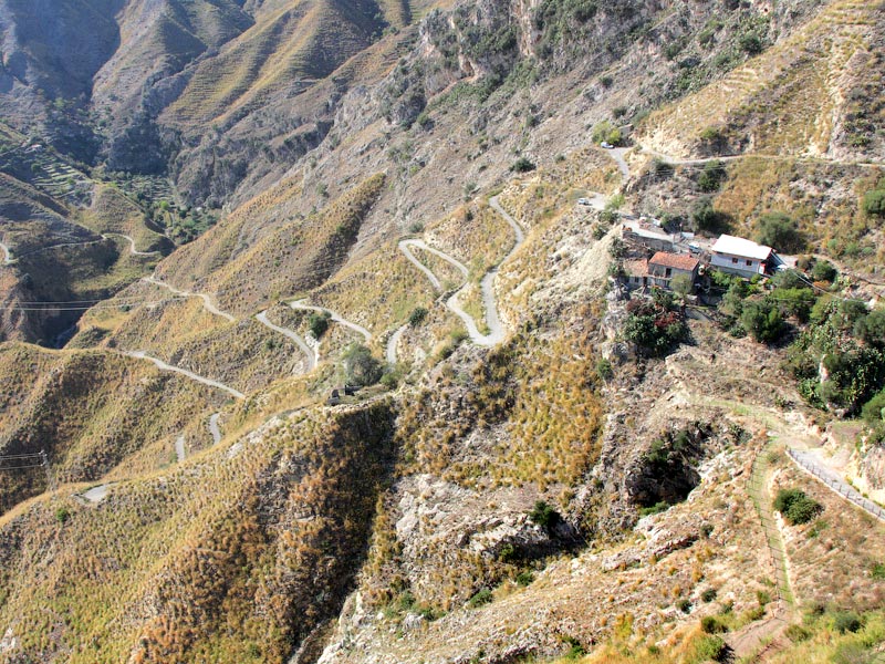 ������� ���������: ������ ���������. ������ ������