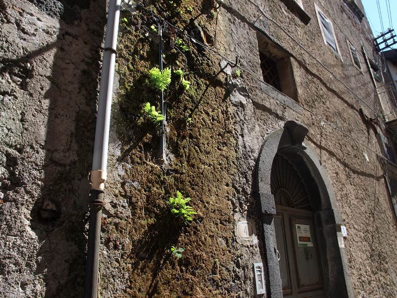 ������� ���������: � �� ���� ���� �����. ��������