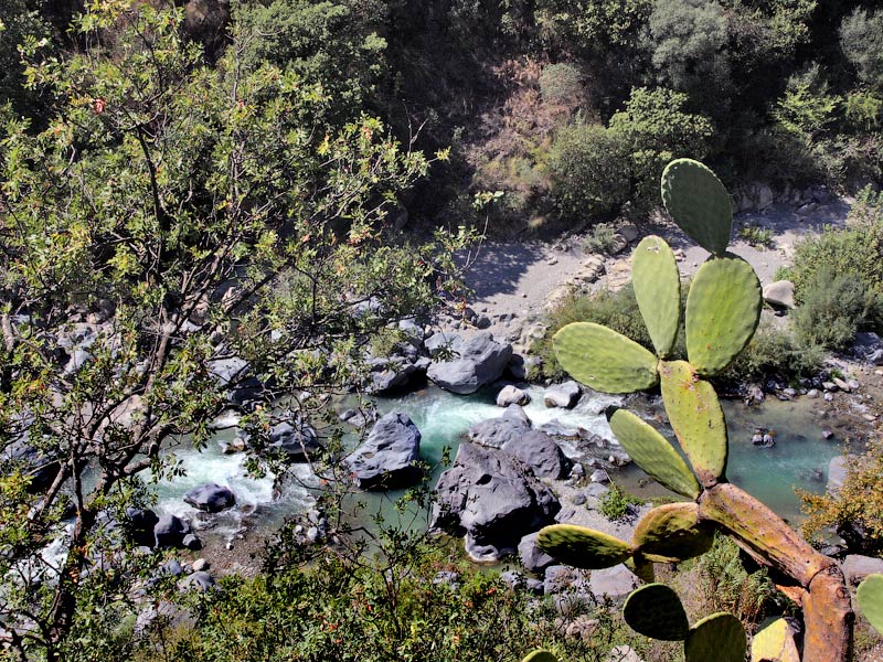 ������� ���������: ������, ��� � ��������. ����������