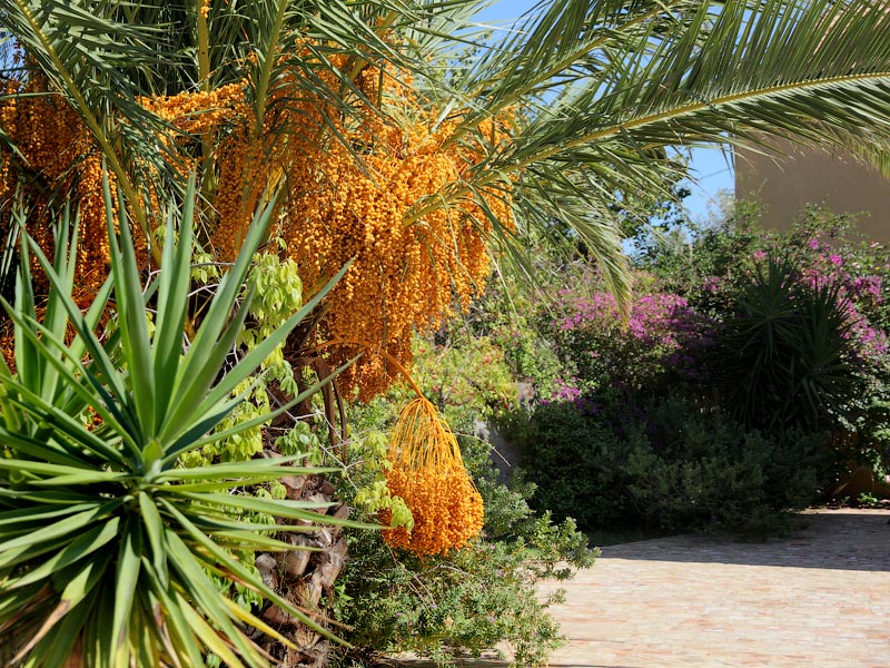 ������� ���������: � ������ � �������. ������� ���� � ������� �������