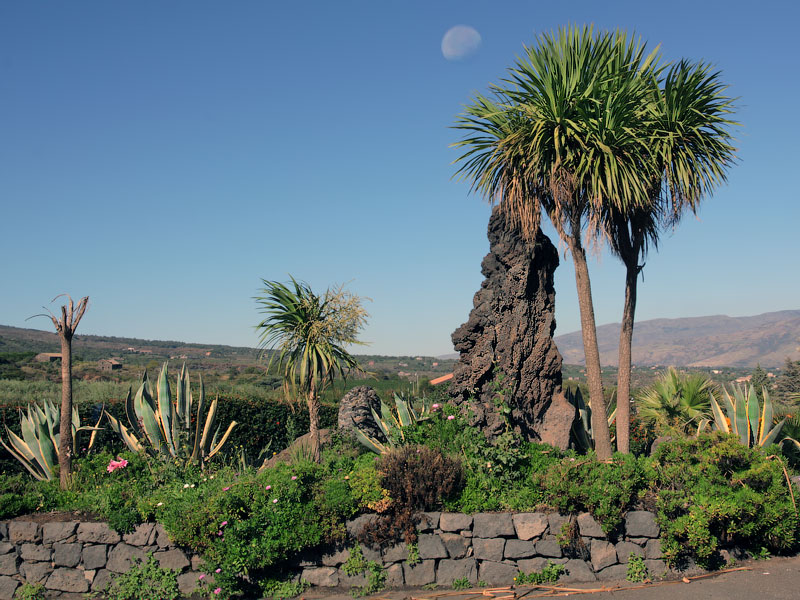 ������� ���������: ����, ������ � ����� ����. �� ����������