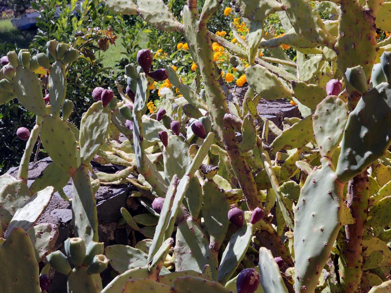 ������� ���������: �������. � ������ � �������