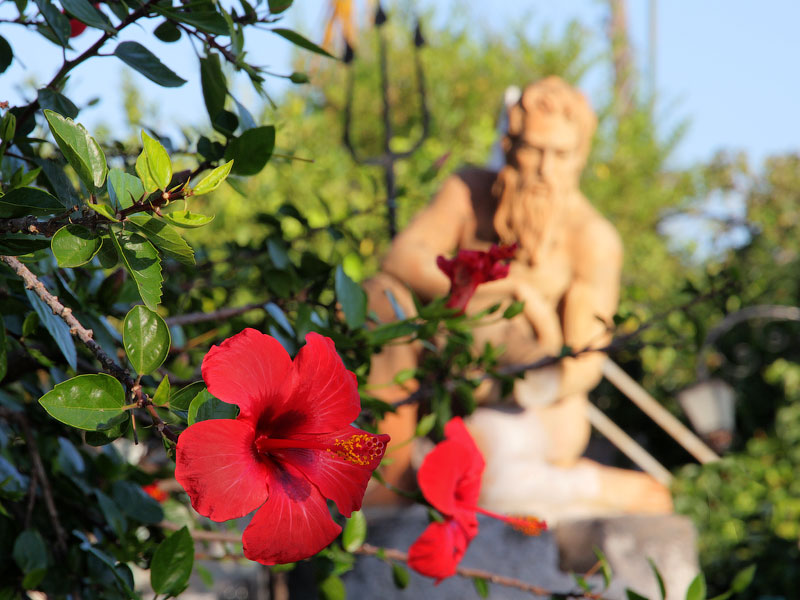 ������� ���������: ������ ������ � �����. �������� ��������