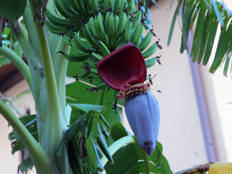 ������� ���������: ��� ������ �����. �������� � �������