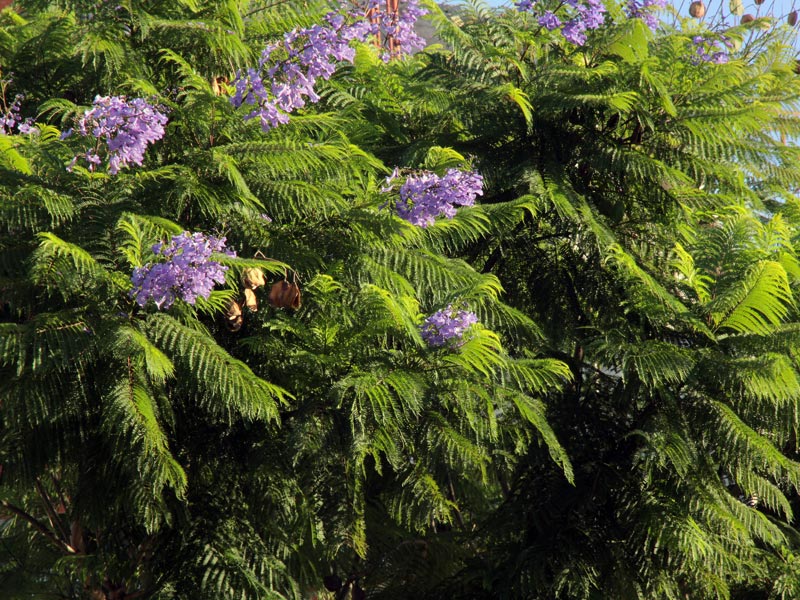 ������� ���������: ���������� ������. �������� ������