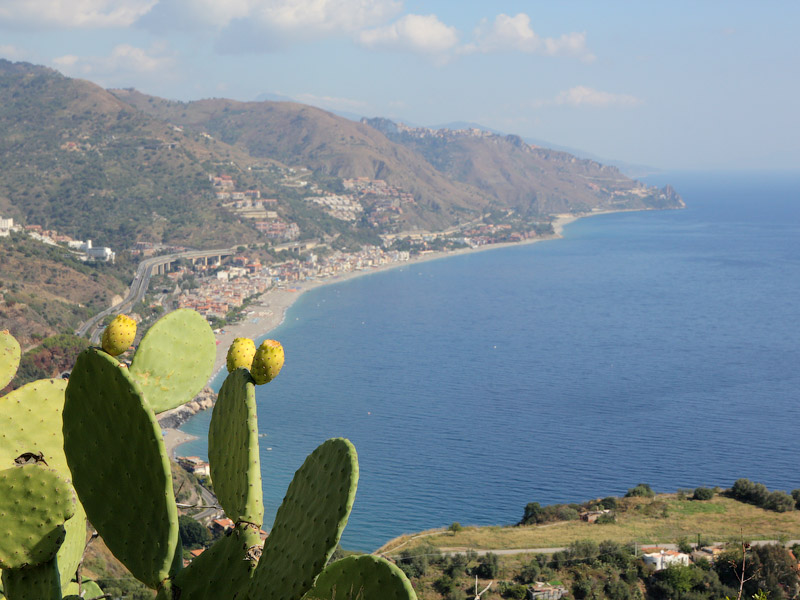 ������� ���������: ����� ���������� ������� �� �������. ������� � ��������� �������