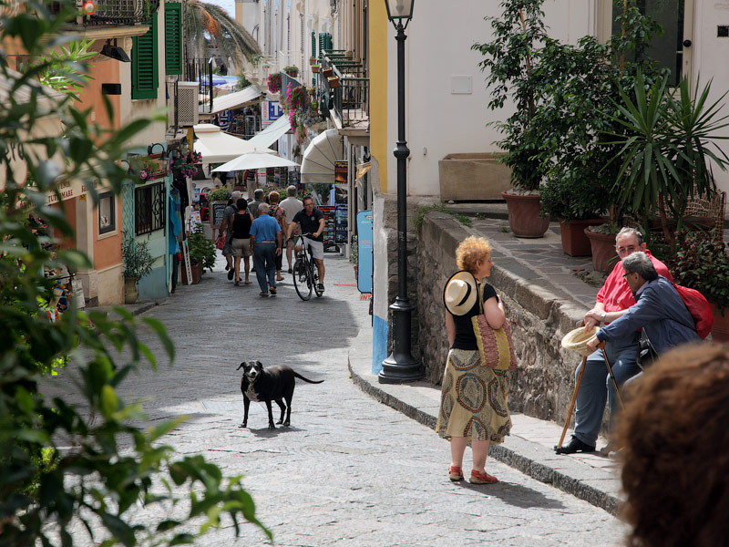 ������� ���������: ������� ����-��������. ������������ � ����������