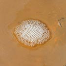 �������� � ����