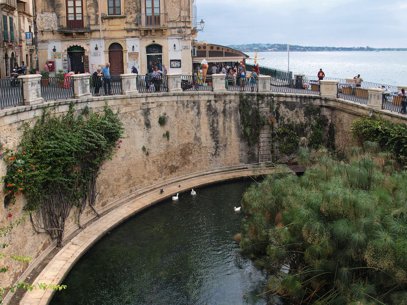 ������� ���������: �������, ������� ���� � ����-������. �������� �������