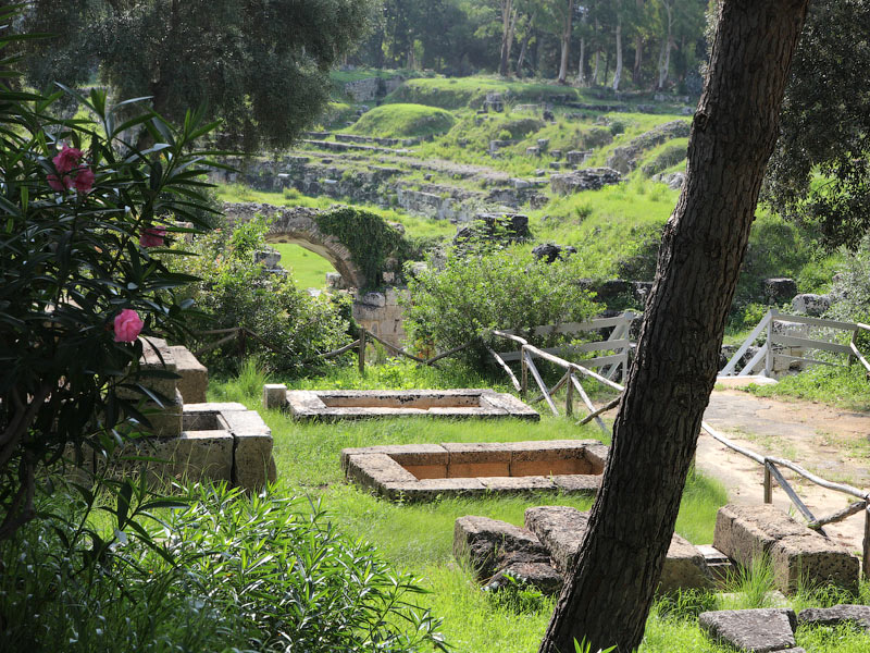 ������� ���������: ���� � ������� ���������. ���������� � �������