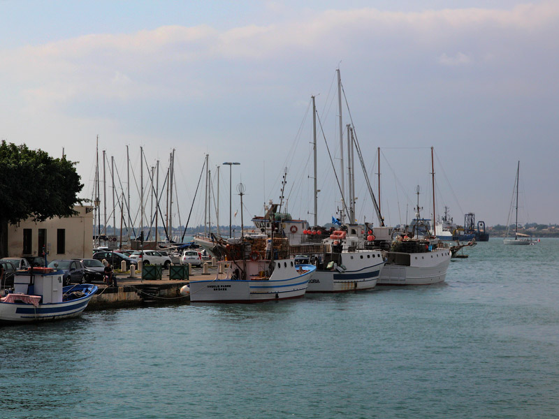 ������� ���������: ������ �� ����. ���� �� ������ �������