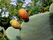 ������� �� ���� ����