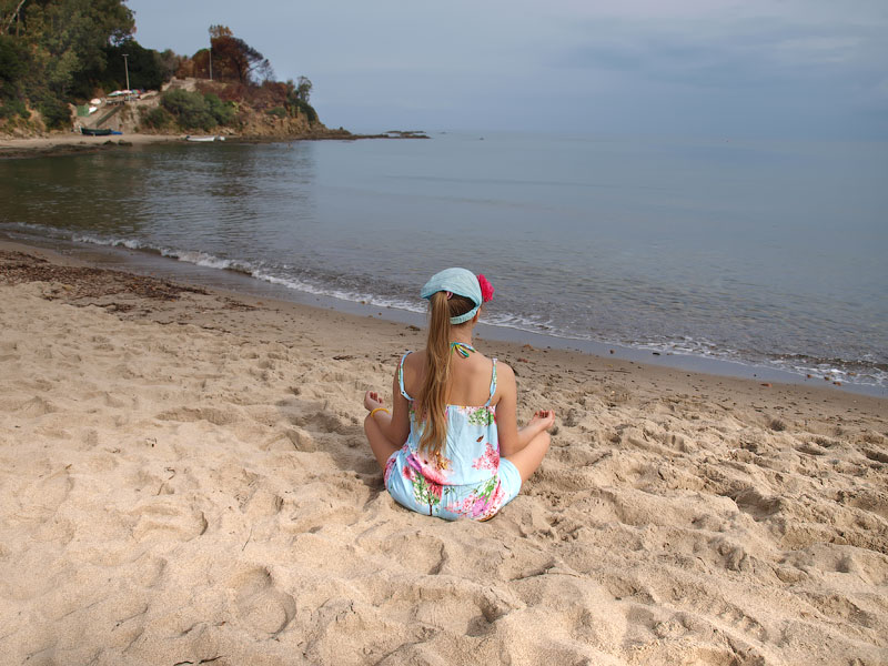 ������� ���������: ������� ���������. ������������� �������