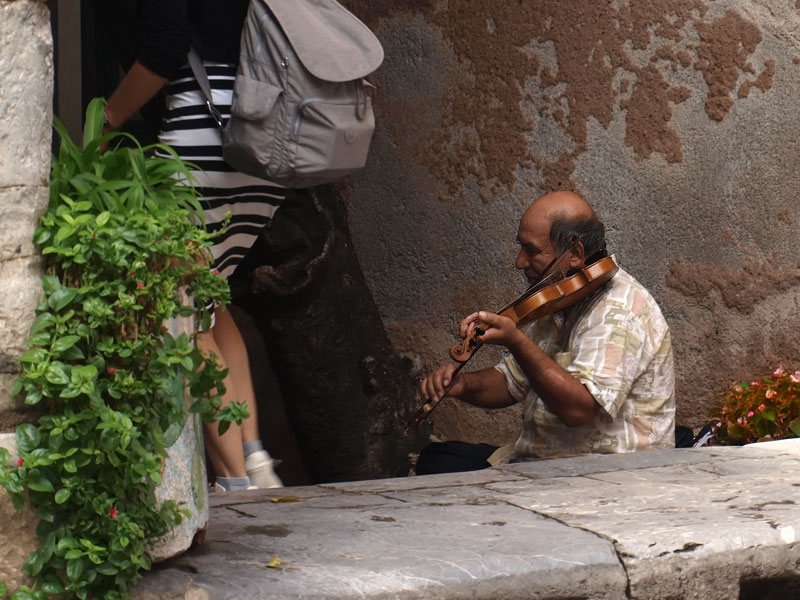 ������� ���������: ��������� �����. ������ ����