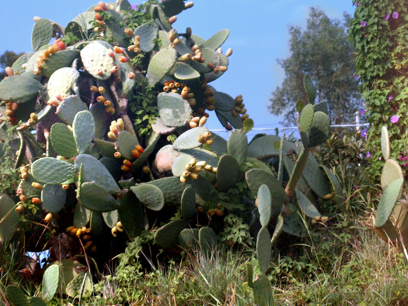 ������� ���������: ������ ��. �������. ����������� �����