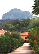 ����� Sporting Club - ��� �� ����