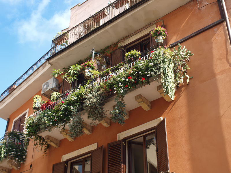 ������� ���������: �������� �� ��������. ��������