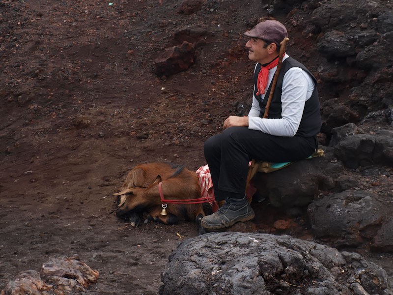 ������� ���������: ������� � �����. ����� �� �������