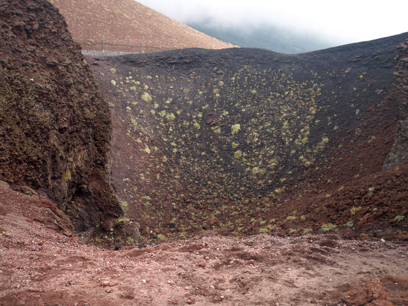 ������� ���������: ������� ����������. ����