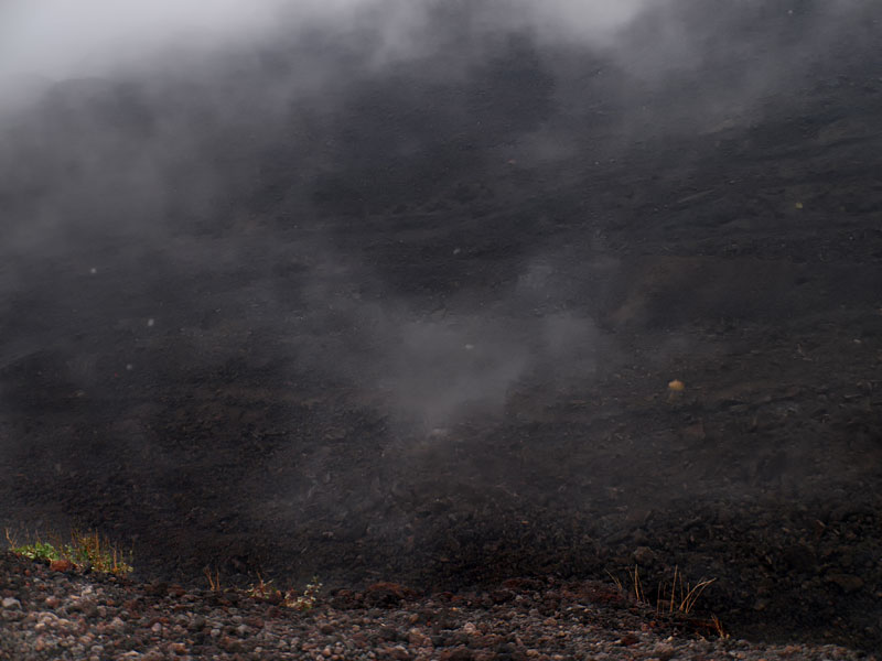 ������� ���������: � �� ������ ������ �����. ��������� ����