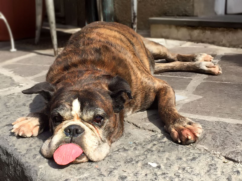 ������� ���������: ������� � ����������. � ����� � �����