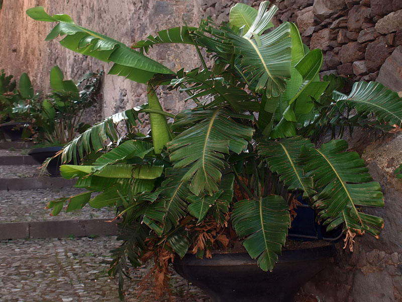 ������� ���������: ���������� �����. �� ��������