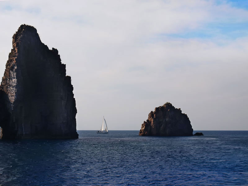 ������� ���������: ������ ����� ��������. ������ �������