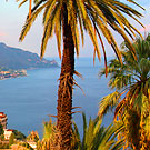 ������ � ��������