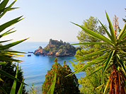 �����-�����