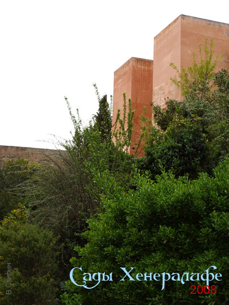 ������� ���������: ������������ ������, ���������� - �������������� ���������. ���������