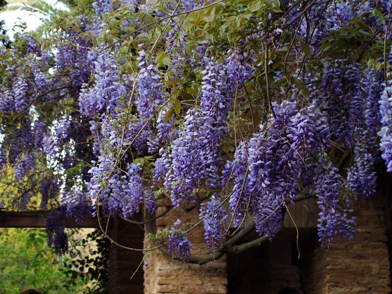 ������� ���������: �������� � �����. ���������