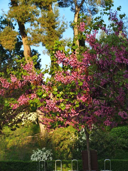 ������� ���������: ��������� ������. ���������