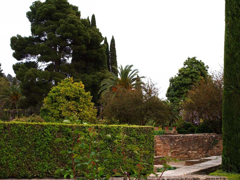 ������� ���������: ���� � ��������. ���������