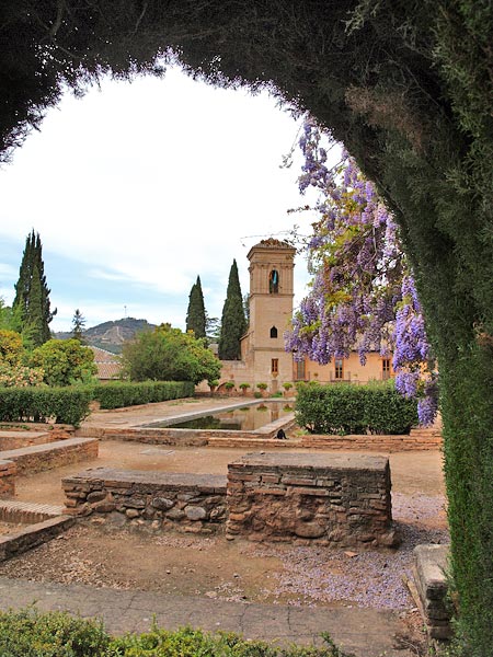 ������� ���������: ������������ ���� ����������. ���������