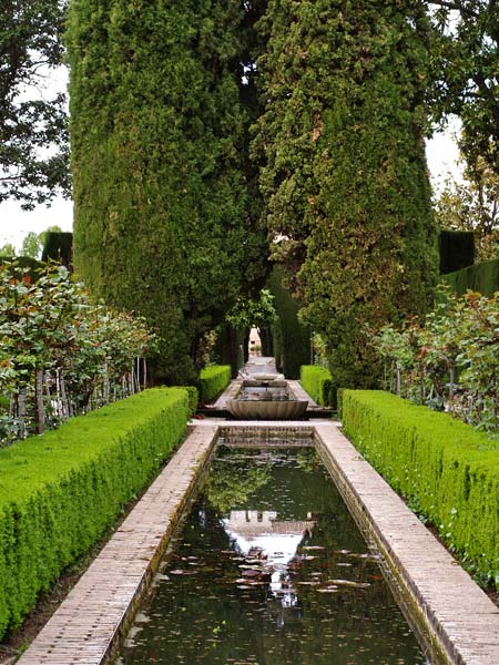 ������� ���������: ���� � ���� ����������. ���������