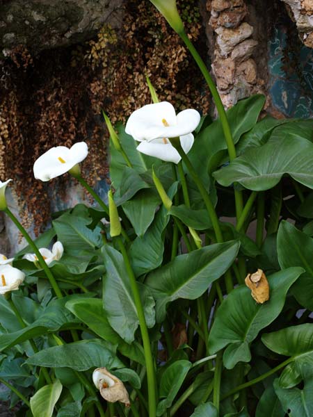 ������� ���������: ����� � ����� �����. ���������