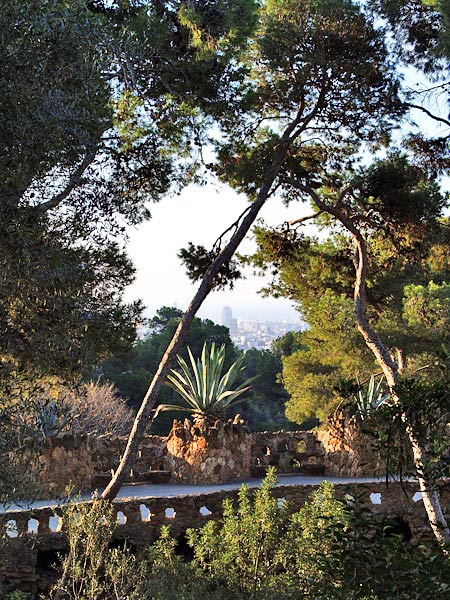 ������� ���������: ���� �����. ���������