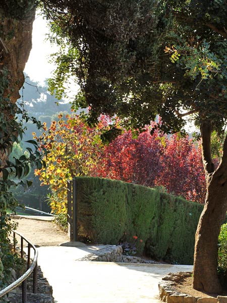 ������� ���������: ������ � ����� �����. ���������