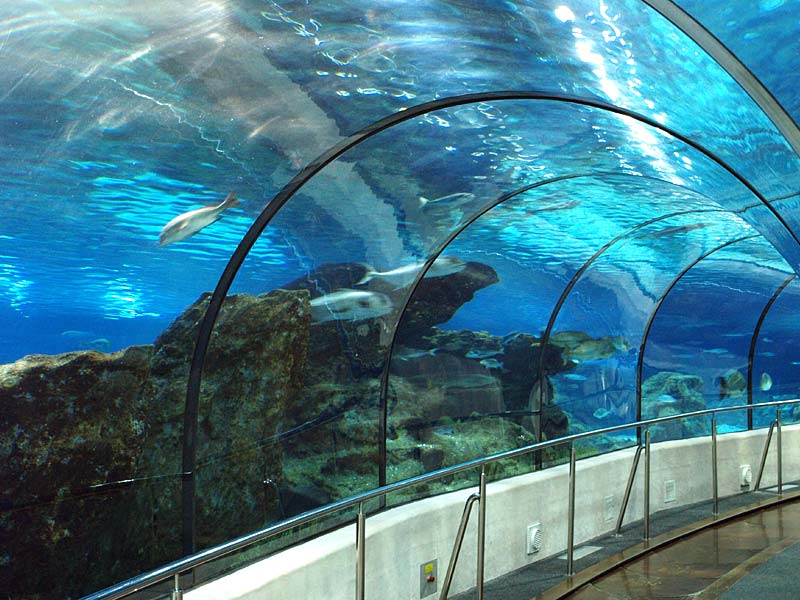 ������� ���������: ���� � ������. ��������