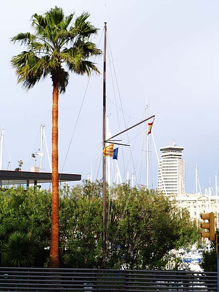 ������� ���������: ����������. ����� �����������