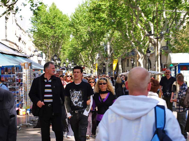 ������� ���������: �� �������� ������ (�������). ����� �����������