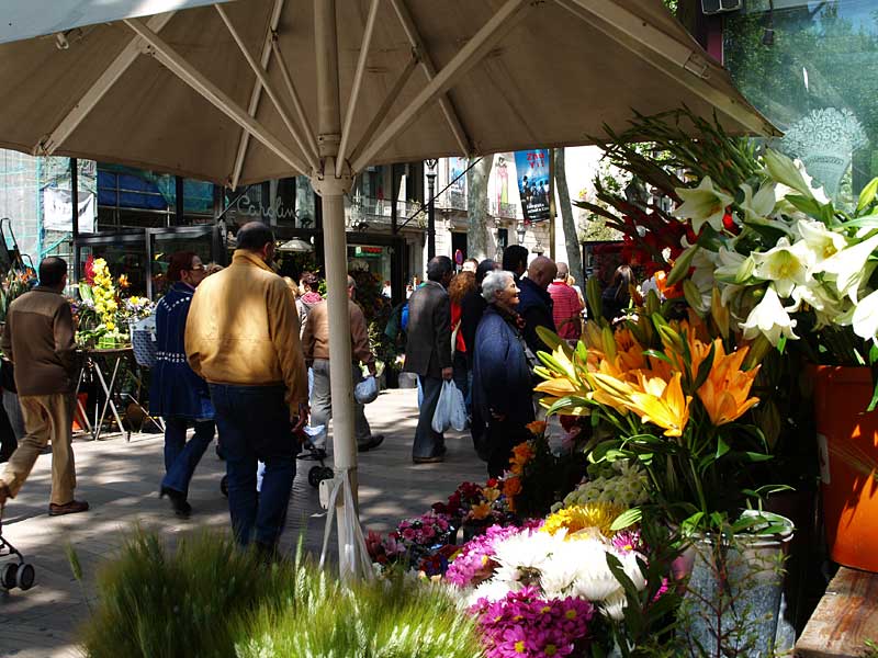 ������� ���������: ����� �� �� ��������. ����� �����������