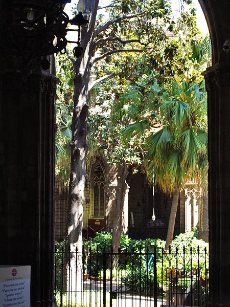 ������� ���������: �� ��� �� ��������� ������?!. ����� �����������