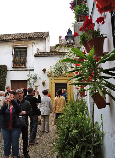 ������� ���������: ���������� ������� - �����. �������� �� �������